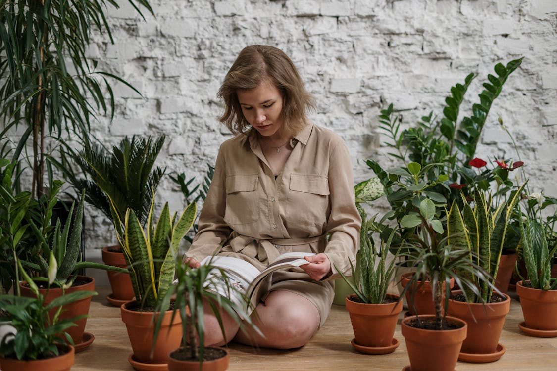 Jardim e plantas em casa