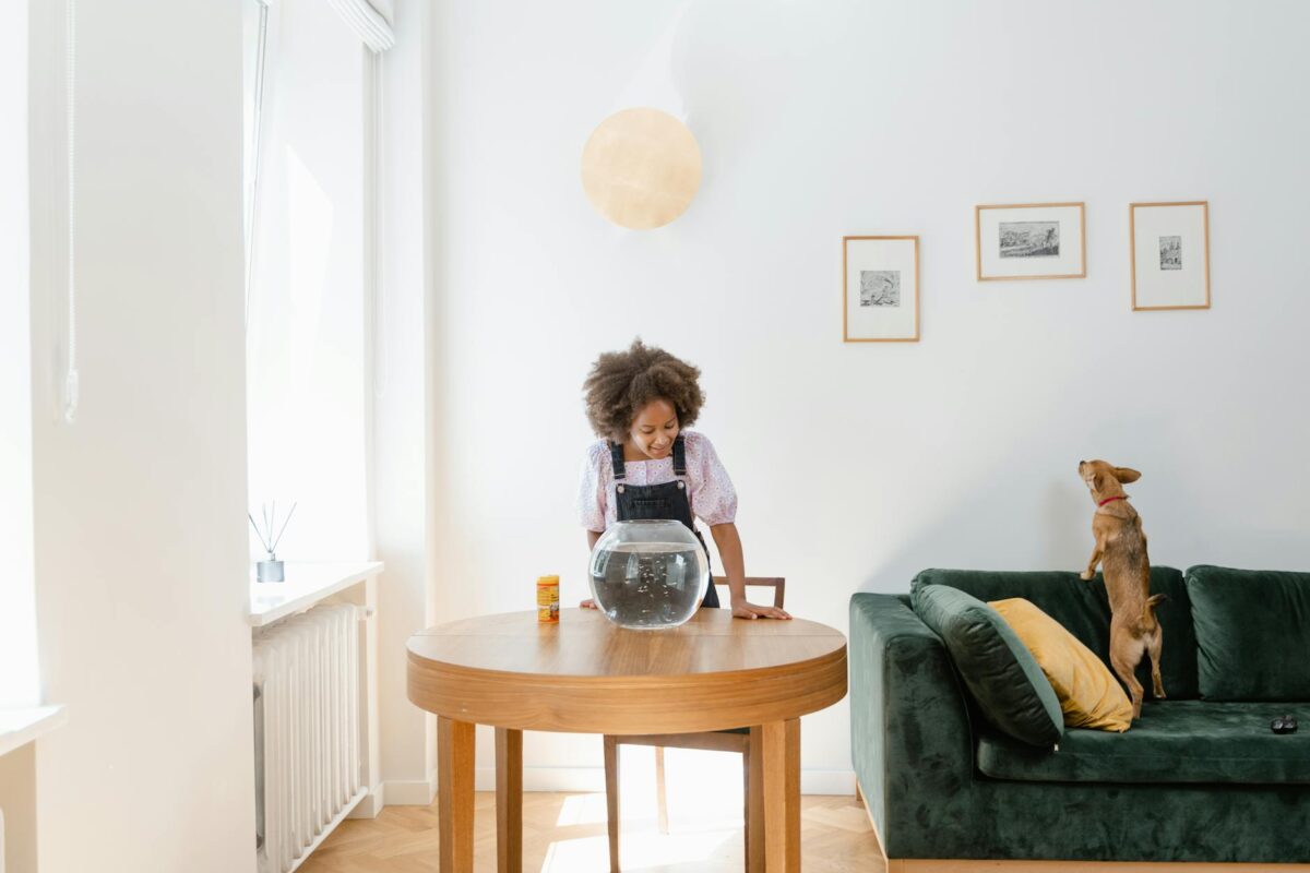 Aquário em casa: como montar e manter com sucesso
