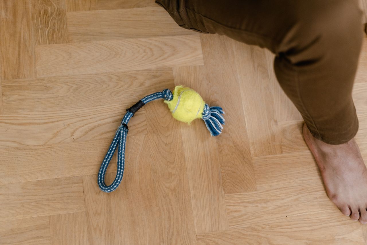 Como Higienizar Brinquedos e Acessórios do Pet