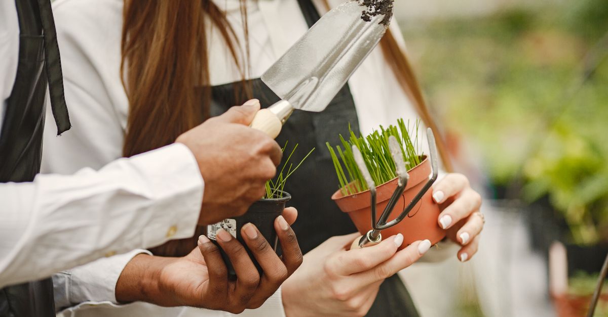 Jardim e Plantas: Guia Completo para Cultivar em Casa