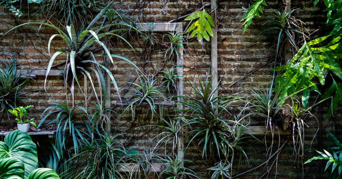 Como Fazer Jardim Vertical em Casa