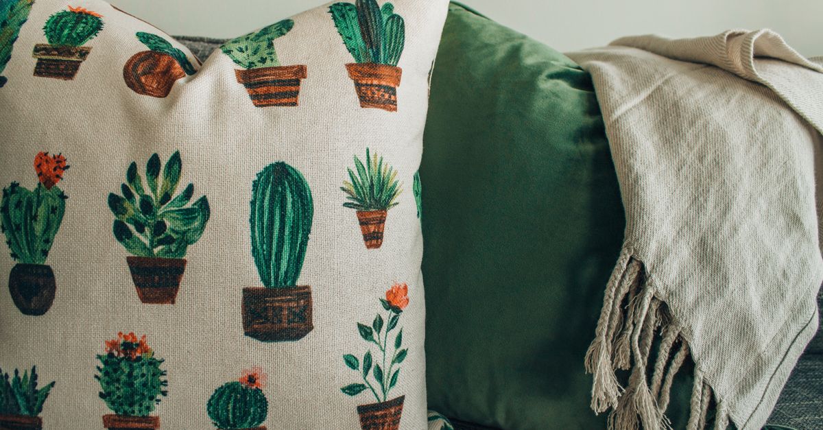 Plantas na Sala de Estar: Quais Escolher e Como Decorar