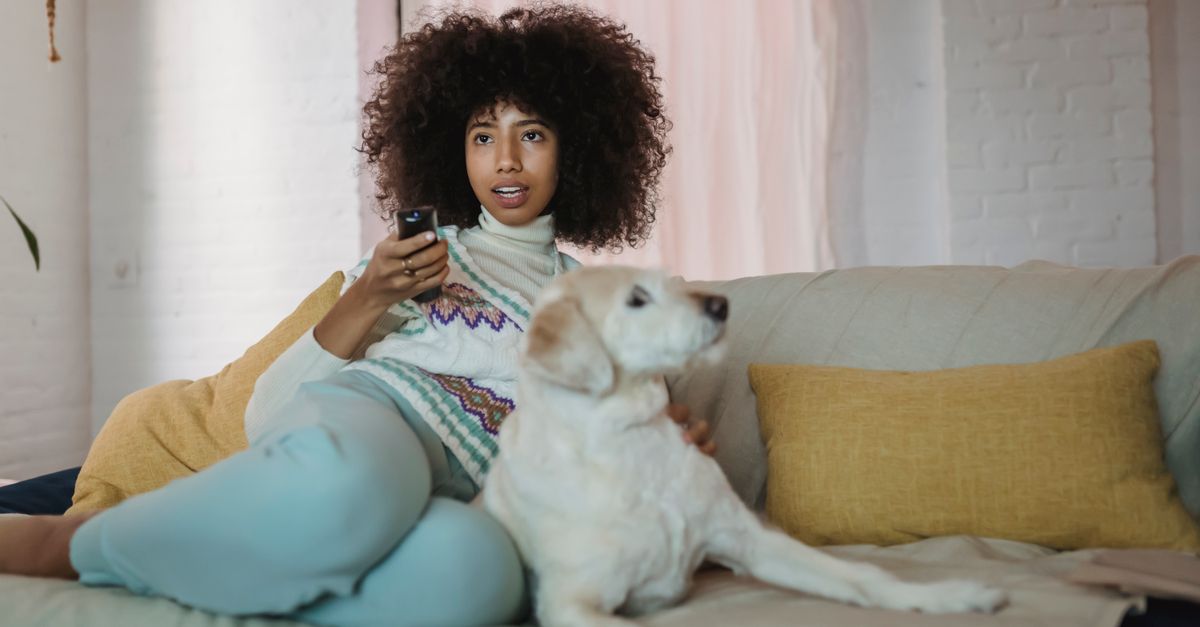 Como Cuidar de Cão em Apartamento: Guia Completo