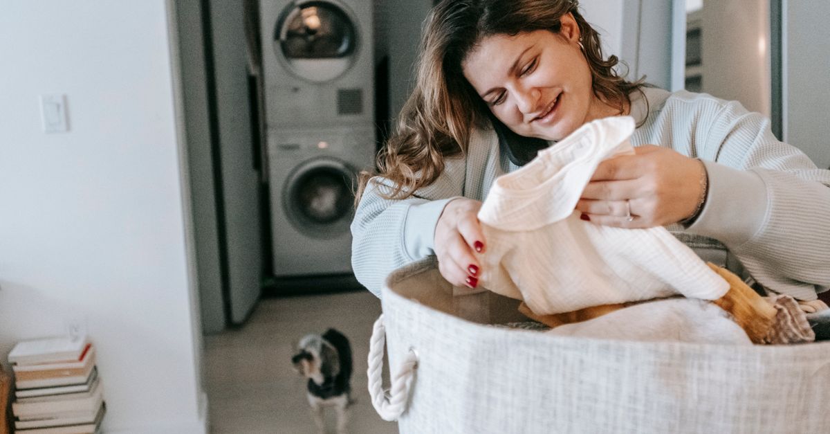 Como Lavar a Cama do Pet: Passo a Passo Completo
