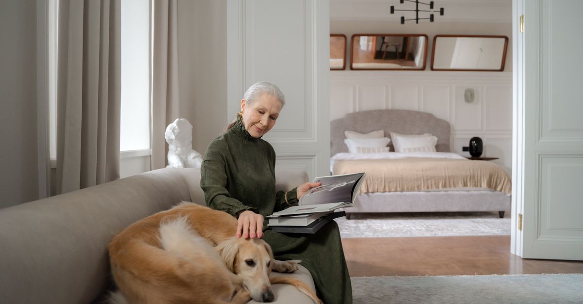Como Decorar a Casa com Pets: Dicas de Estilo e Praticidade