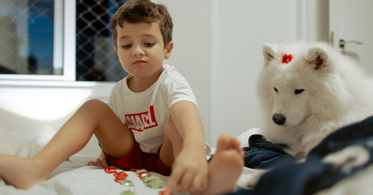 Pets e Crianças: Como Garantir uma Convivência Segura
