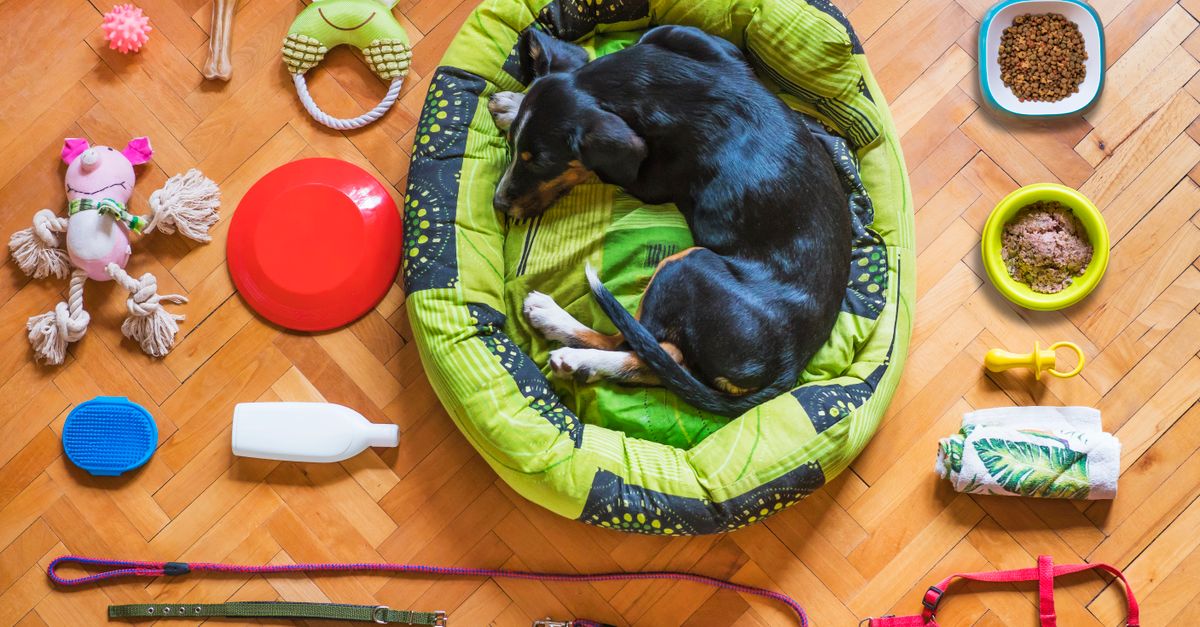 Como Preparar a Casa para Receber um Pet: Checklist Completo