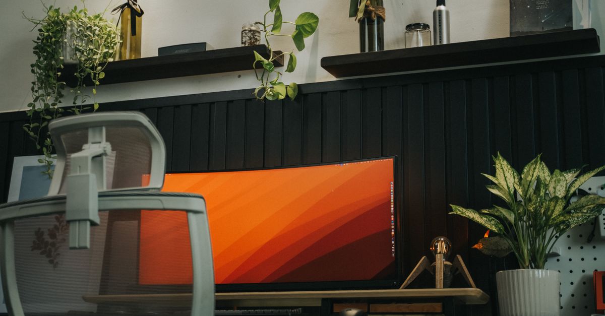 Plantas no Home Office: Quais Usar e Como Cuidar